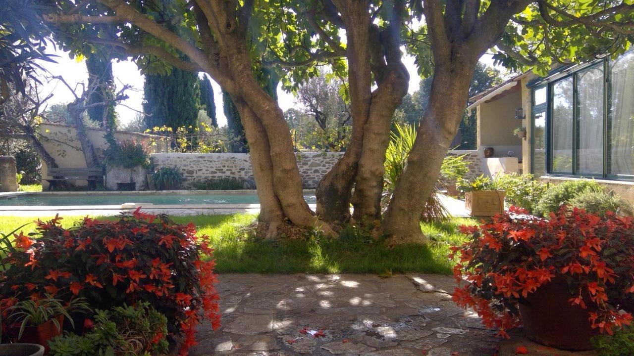 Sous Le Figuier... Apartment Buisson Luaran gambar
