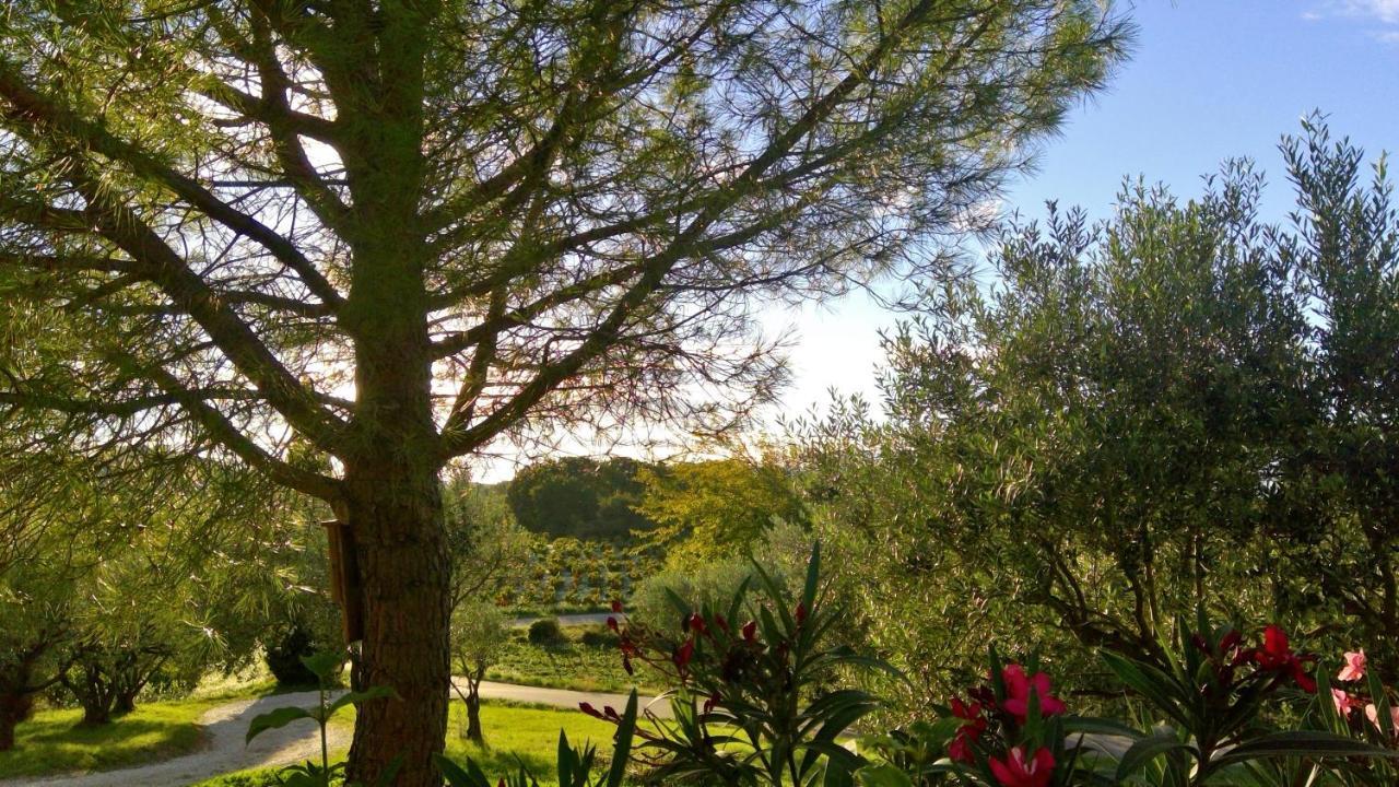 Sous Le Figuier... Apartment Buisson Luaran gambar